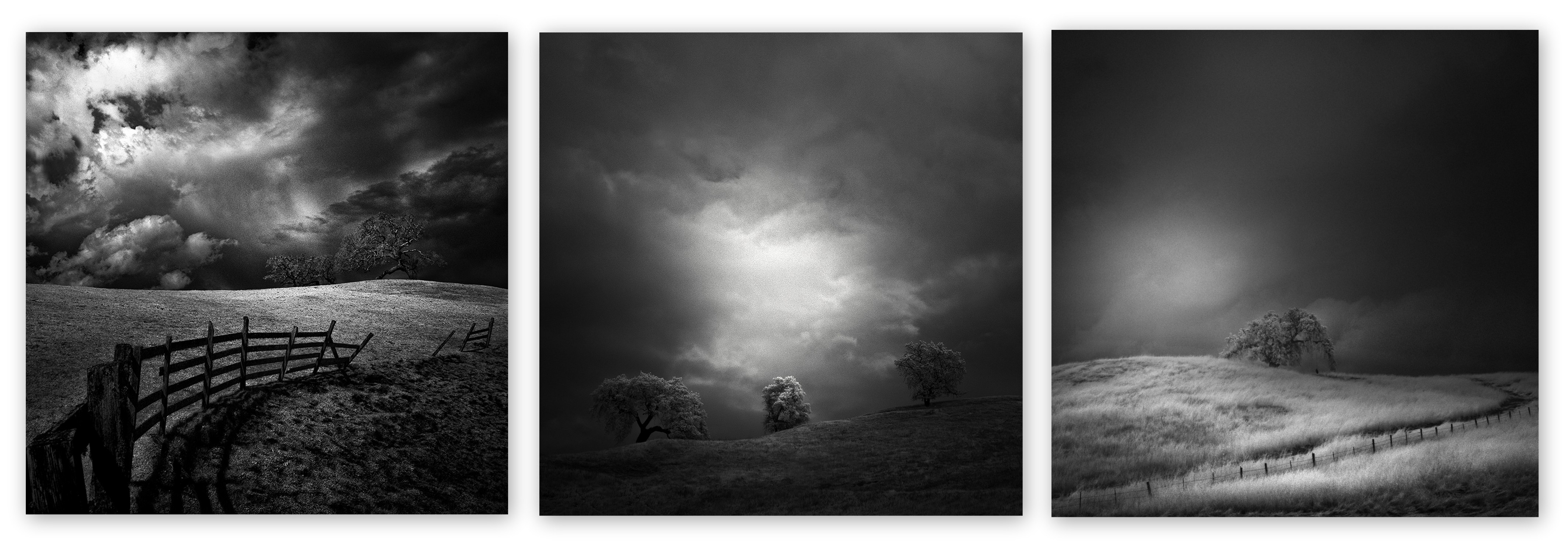 Nathan Wirth - Collage II