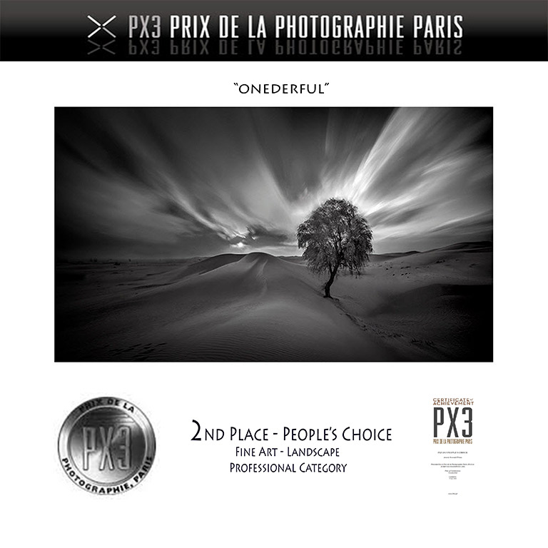 People's-Choice-Awards---PX3-2015---2nd-Place---Silver---FineArt-LandscapePro